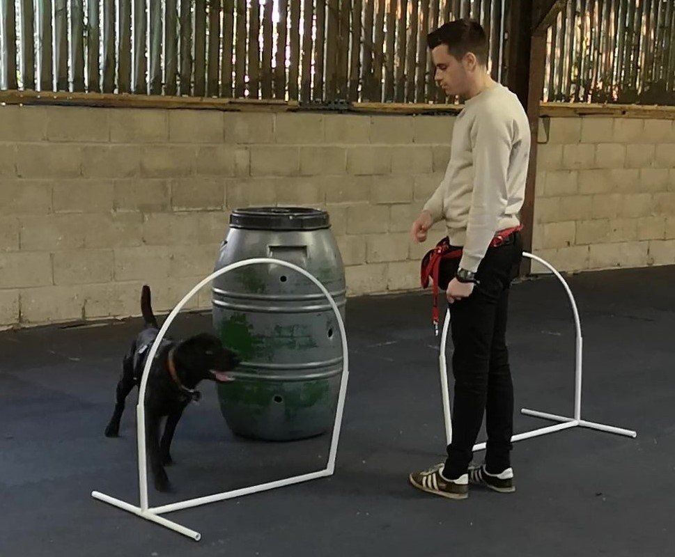 Canine Hoopers
