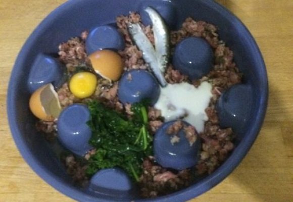 Raw Meal