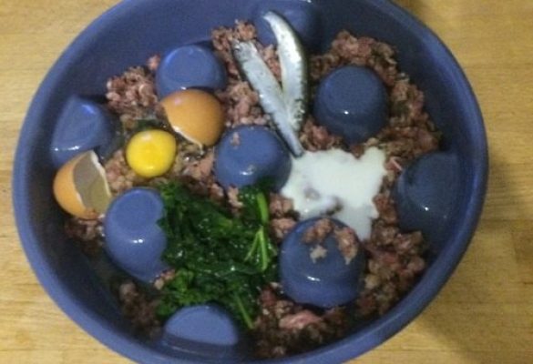 Raw Meal